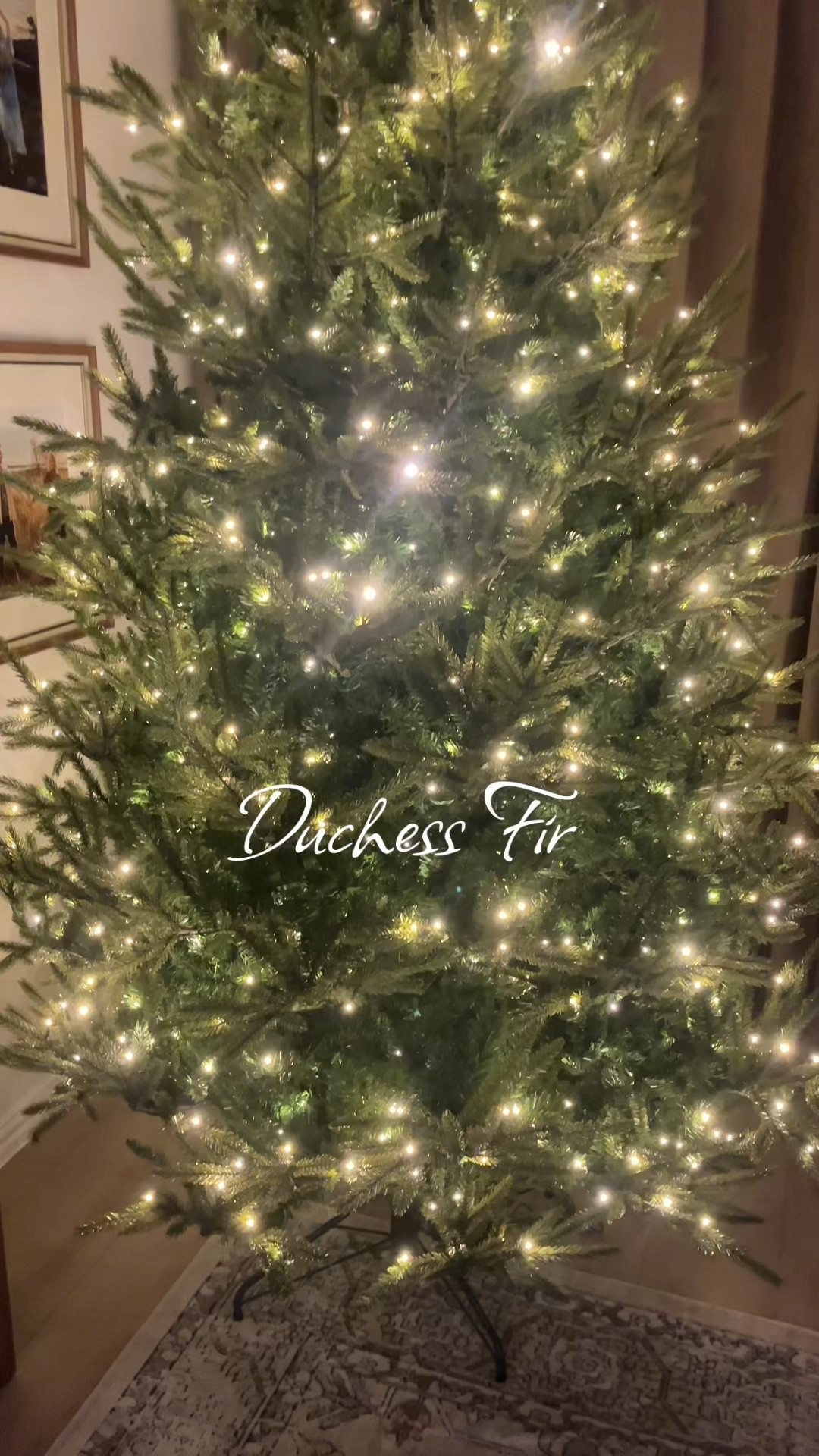 Duchess Fir Christmas tree from Sam’s Club is a WIN! It’s a Grand Duchess alternative with warm lights! 

#LTKSeasonal #LTKHoliday #LTKHome