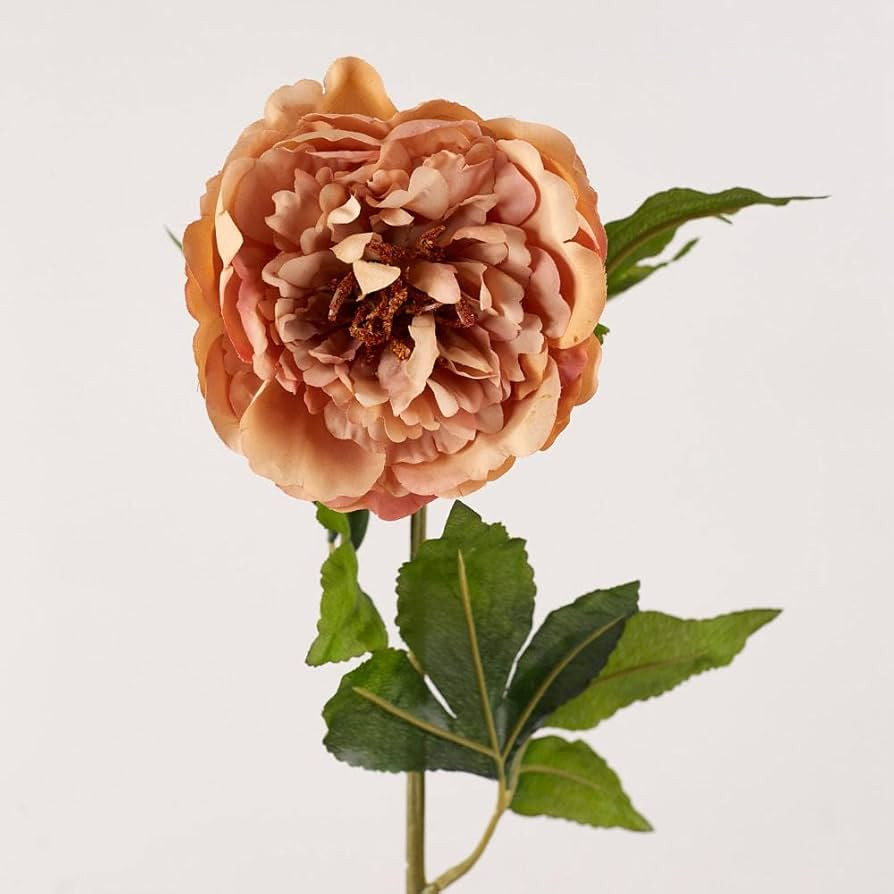 Factory Direct Craft Group of 2 Beige Pink Artificial Peony Stems for Easter Decorating and Sprin... | Amazon (US)