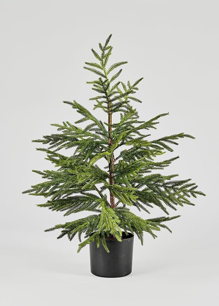 Afloral Artificial Norfolk Pine Tree - 36" | Amazon (US)