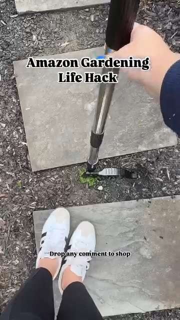 Gardening life hack!

Amazon / Amazon find / Weed puller / Gardening tool 

 #LTKHome