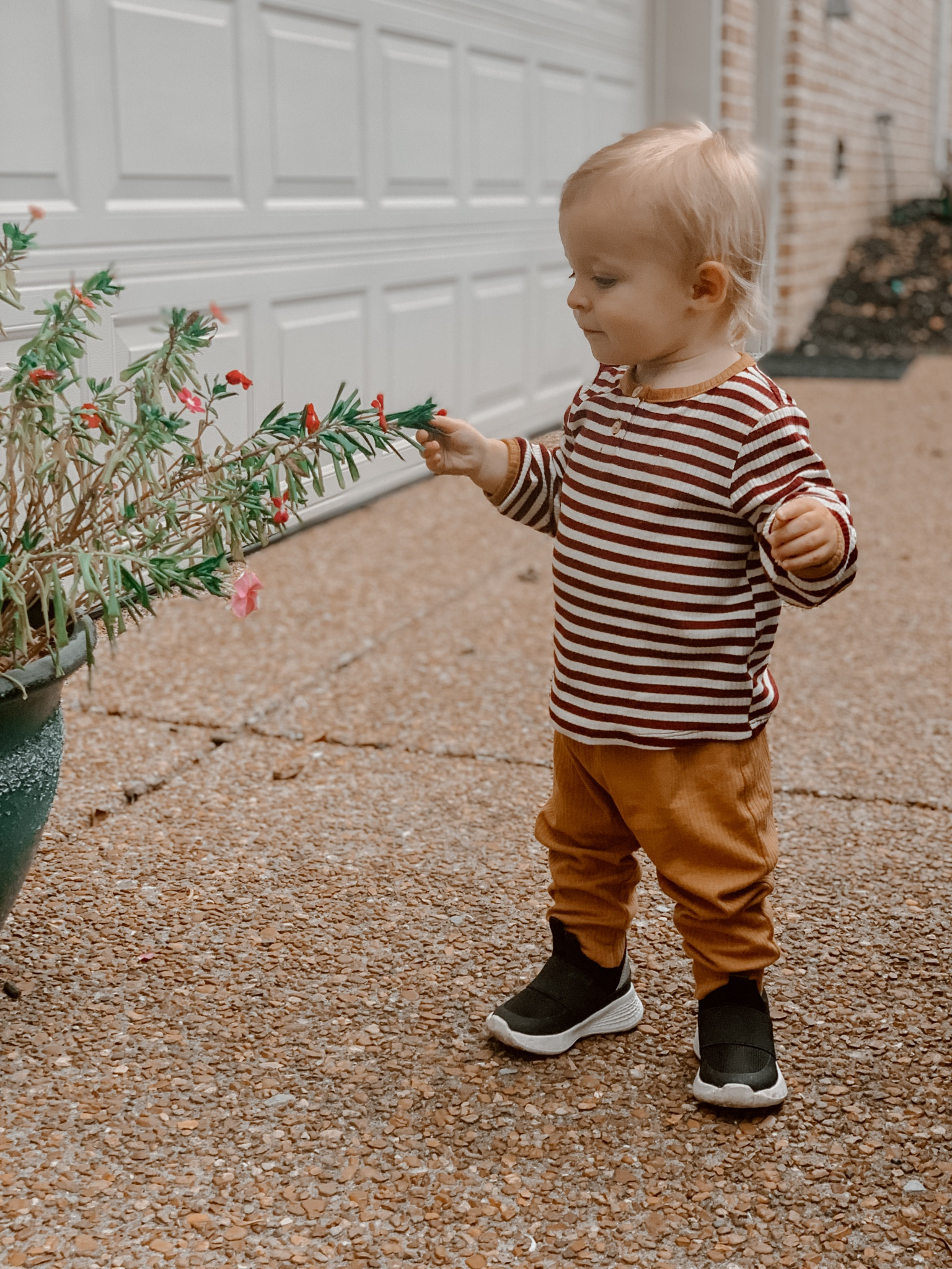 The best basic toddler boy outfit! It’s on sale at Target for $10 🙌🏼

#LTKbaby #LTKsalealert #LTKkids