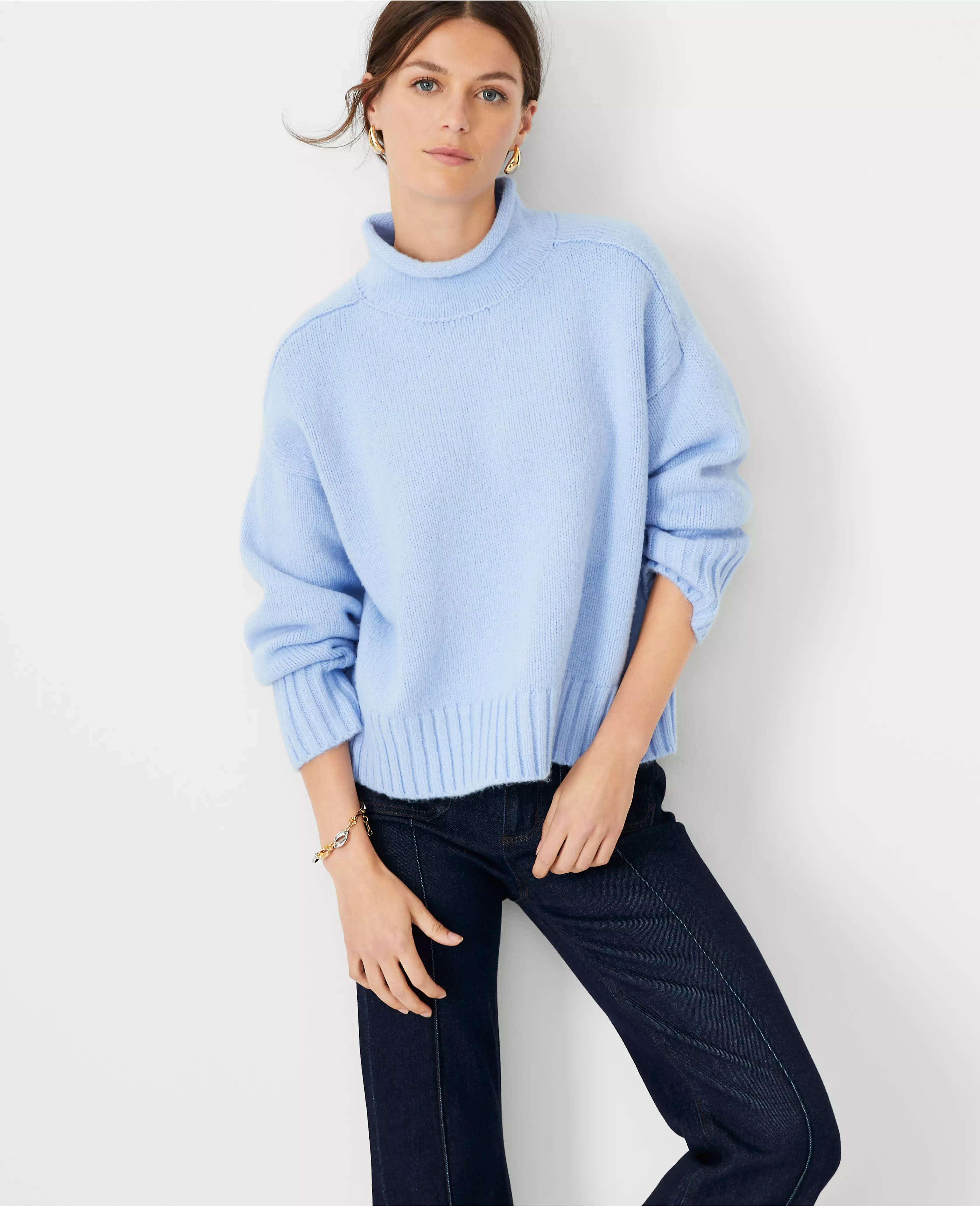 Roll Neck Drop Shoulder Sweater | Ann Taylor (US)