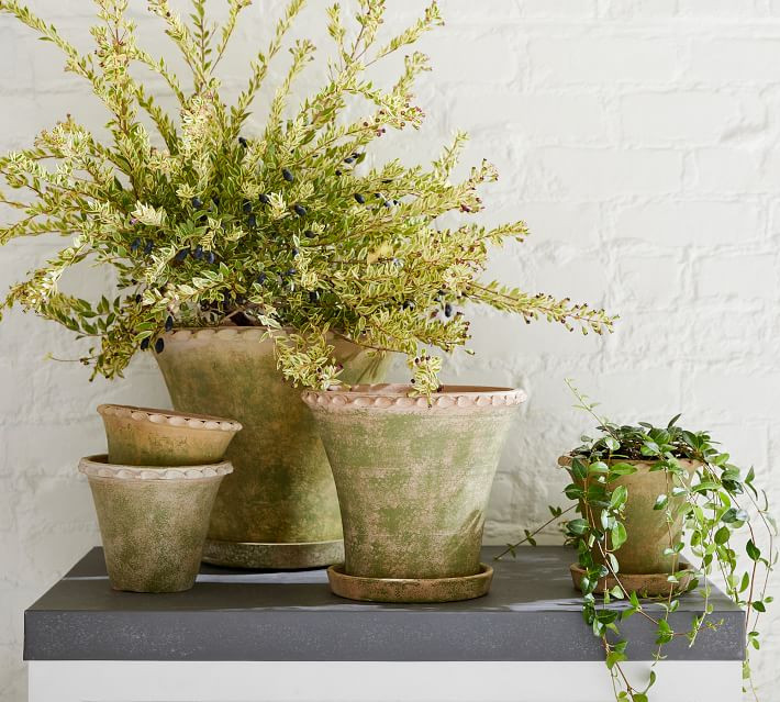 Provence Scalloped Edge Planter - Moss | Pottery Barn (US)