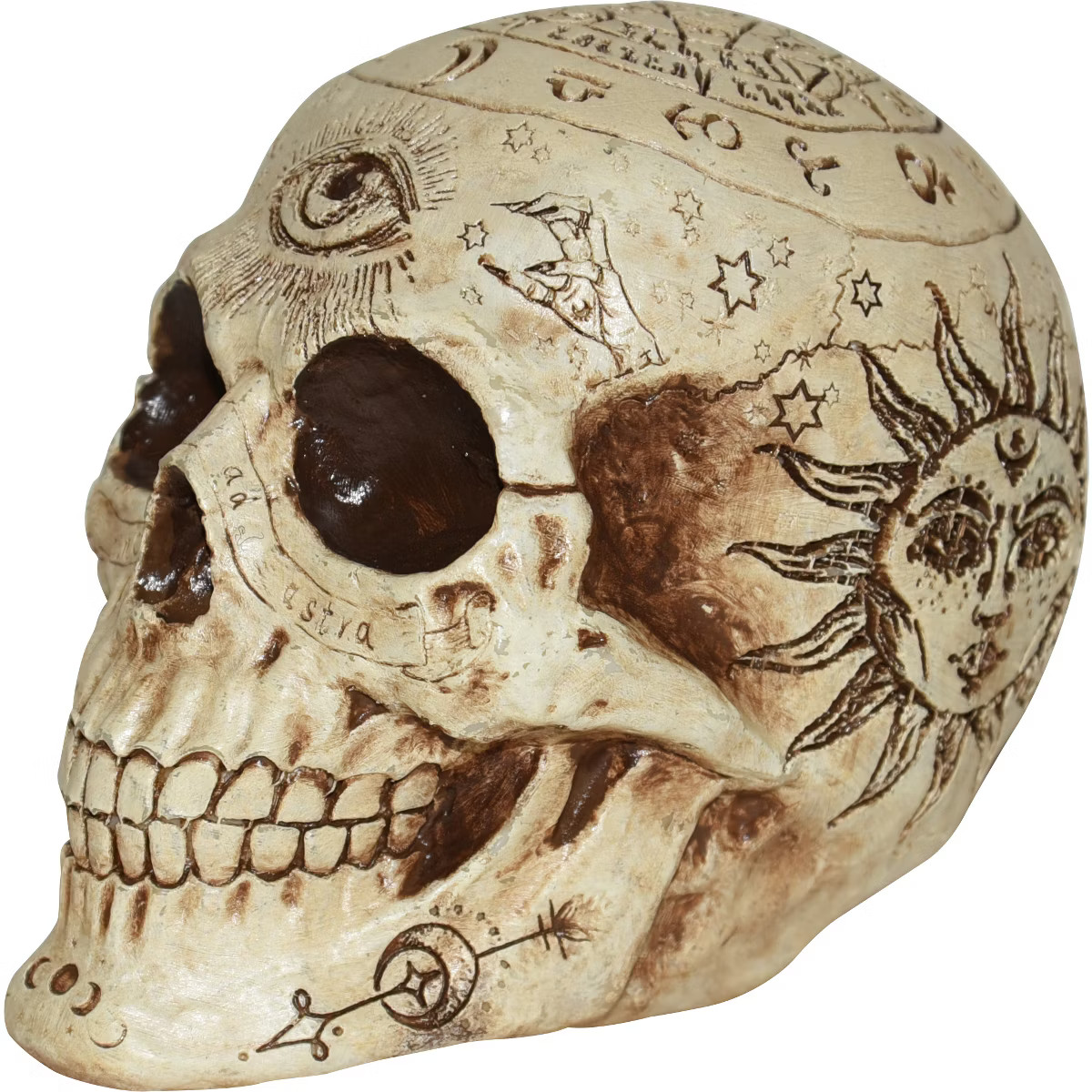 Sunstar 7 Inch Fortune Telling Skull | Target