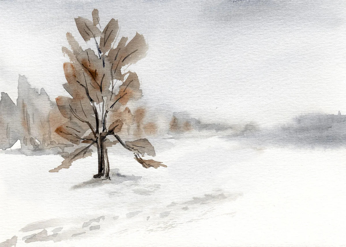 Frozen Path | Collection Prints