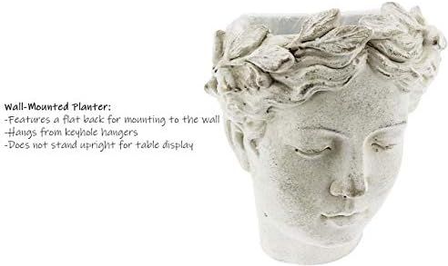Wall-Mounted Greek/Roman Style Female Statue Head Cement Planter, 8" | Amazon (US)