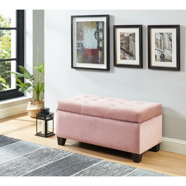 Carmelita Ottoman With Storage | Wayfair North America