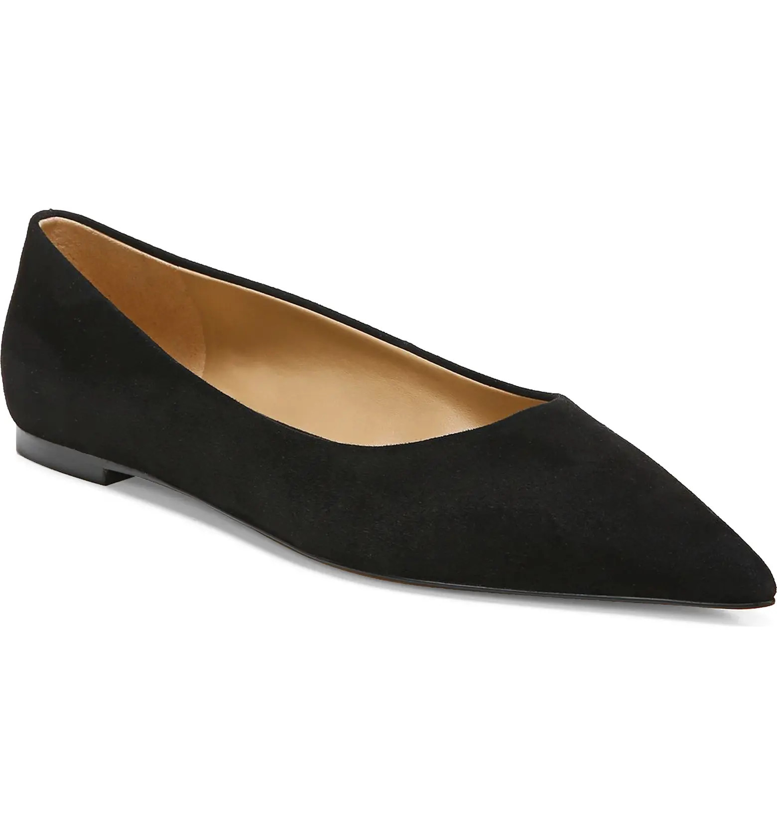 Sam Edelman Wanda Pointed Toe Flat | Nordstrom | Nordstrom
