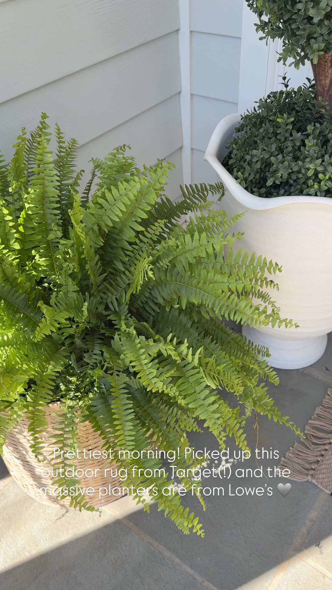 Prettiest morning! Picked up this outdoor rug from Target(!) and the massive spring planters are from Lowe’s 🩶

#LTKdayinmylife #LTKHome #LTKSeasonal