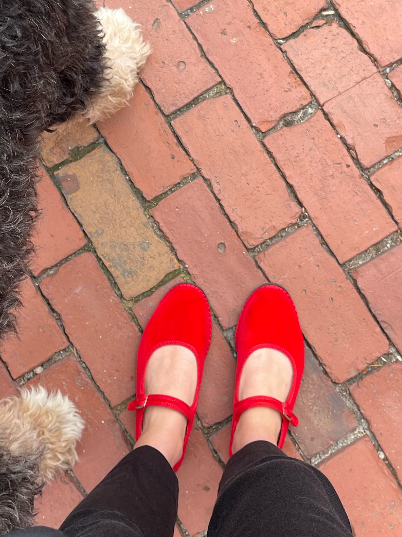 Mary Jane velvet shoes !  Red is currently out of stock but I linked a beautiful navy pair  

#LTKstyletip