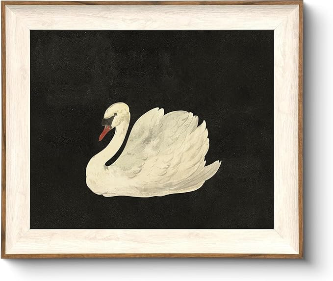 ASTRDECOR Vintage Framed Wall Art for Living Room, Vintage Swan Canvas Oil Painting for Bathroom ... | Amazon (US)