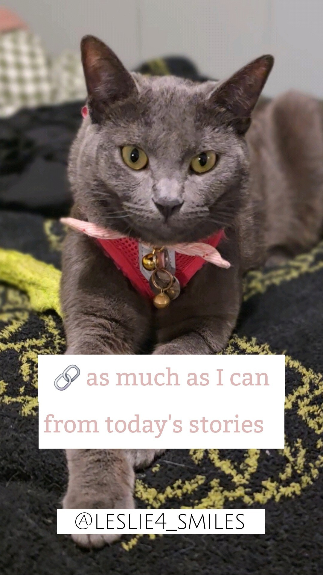 Primally Pure plumping mask, facial mist skincare, dry brush merlot color depositing shampoo, quince comforter, blanket, silk pillow cases, 100% cotton no synthetic materials amazon sheets oeko-tex, loopy phone case, amazon watch pedometer no Bluetooth no emf step counter, cotton tank tops,   rotating vanity skincare counter,  rowe casa lymphadema lymphatic cream walmart basket, home over40 over50 everyday skincare, NOT a fan of synthetics,  toxic stuff, endrocrine disruptors etc lifestyle #natural holistic naturopathic functional health well being home #always being as affordable/budget friendly as possible except when I can't because ingredients, materials, & health/wellness is my #1 ♥️🫶♥️

#LTKdayinmylife #LTKselfcare #LTKOver40