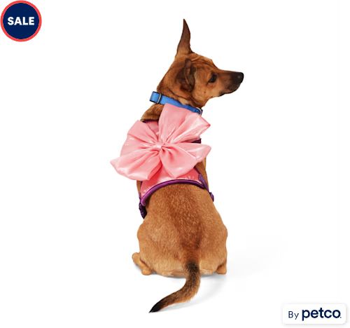 YOULY Bow Dog Harness, X-Small, Pink | Petco