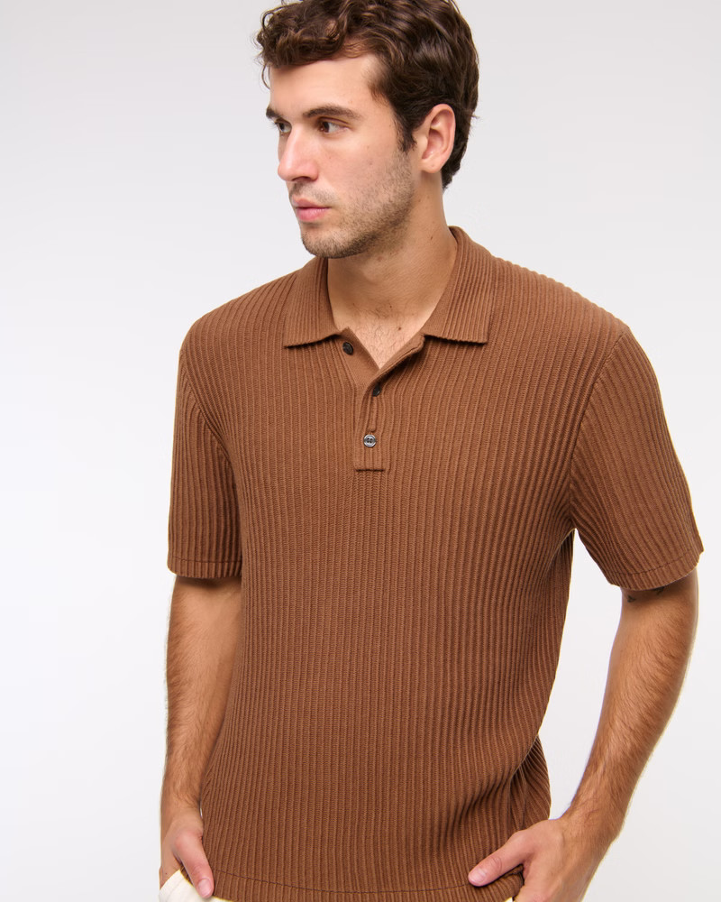 Plisse 3-Button Sweater Polo | Abercrombie & Fitch (US)