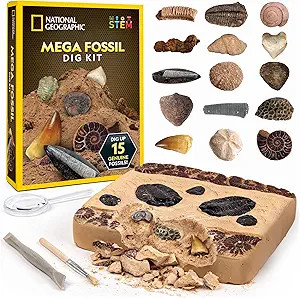 NATIONAL GEOGRAPHIC Mega Fossil Dig Kit - Excavate 15 Genuine Prehistoric Fossils, Kids Fossil Ki... | Amazon (US)