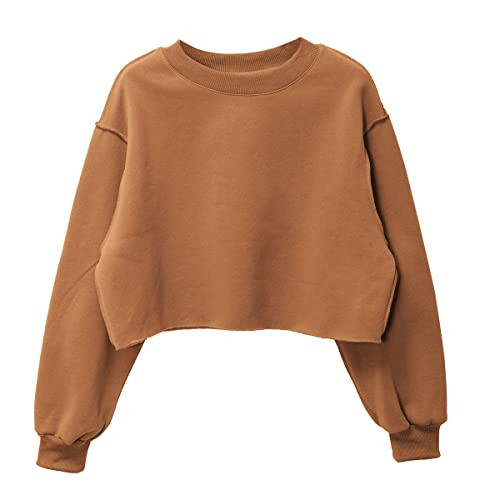 Amazhiyu Women Cropped Sweatshirt Long Sleeves Pullover Fleece Crop Tops Brown, Medium | Amazon (US)