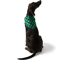 Flannel Dog Bandana | Lands' End (US)