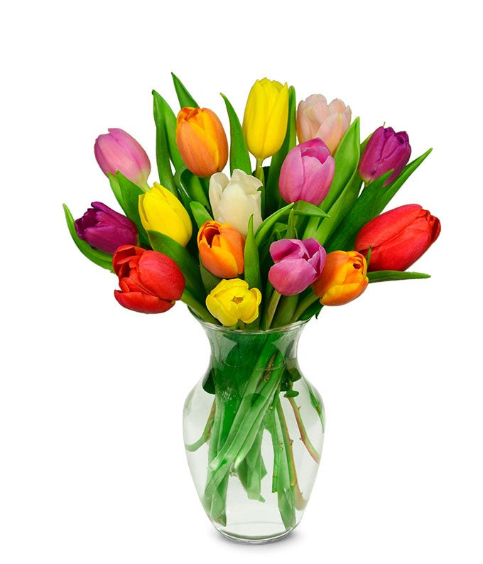Rainbow Tulip Bouquet - 15 Stems | From You Flowers