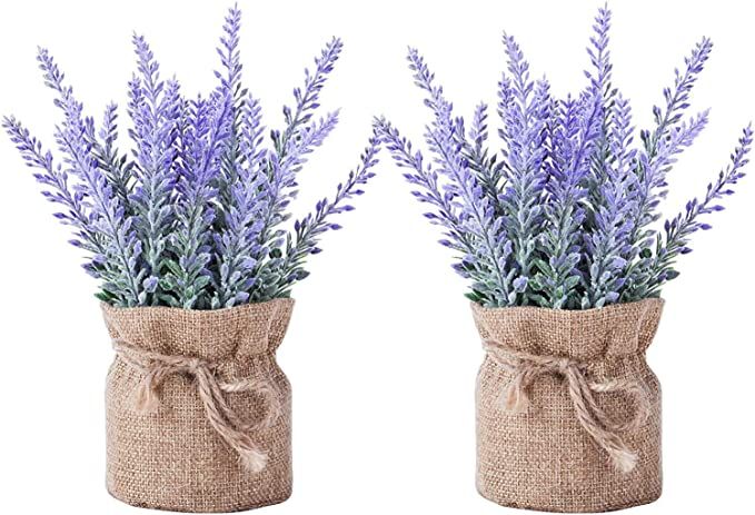 2 Pack Small Burlap Potted Lavender Flowers - Artificial Plants and Flocked Charming Purple for W... | Amazon (US)