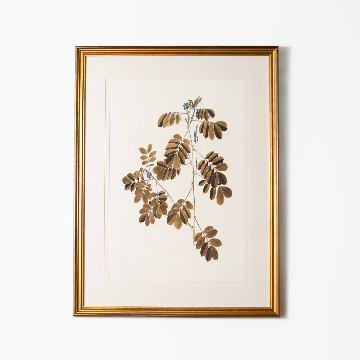 Botany Study 4 | Stoffer Home