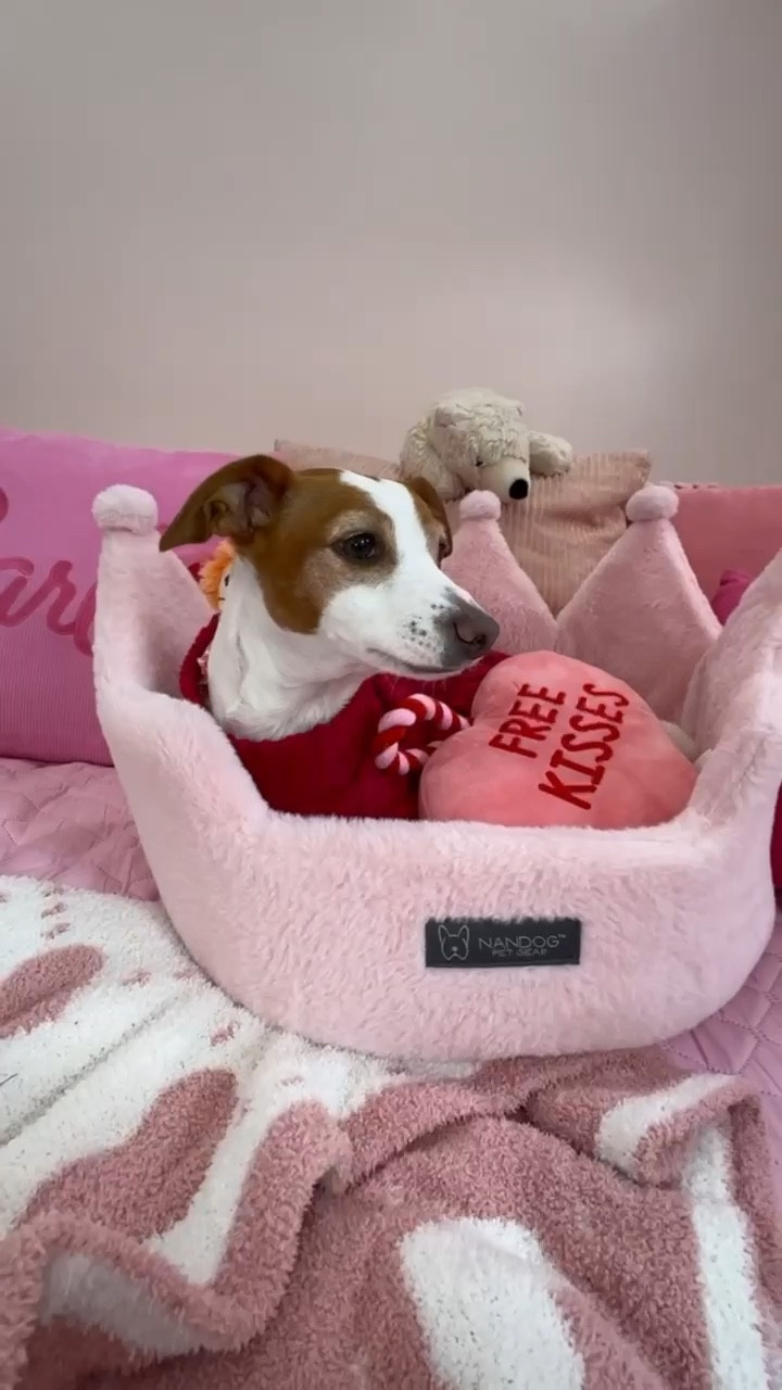 The pups are ready for Valentine’s Day! 💖 

Get the cutest pink V-Day pet outfits, toys, and accessories for your fur baby. And of course they will give you all the free kisses and snuggles back. 

#LTKSeasonal #LTKGiftGuide #LTKSpringSale