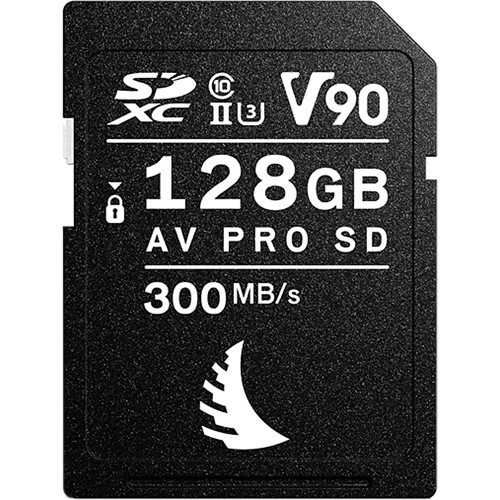 Angelbird AV pro SD | Best Buy Canada
