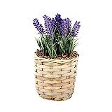 GIA Artistically Recreated Artificial Potted Plant Fields of Provence Lavender with Decorative Wicke | Amazon (US)