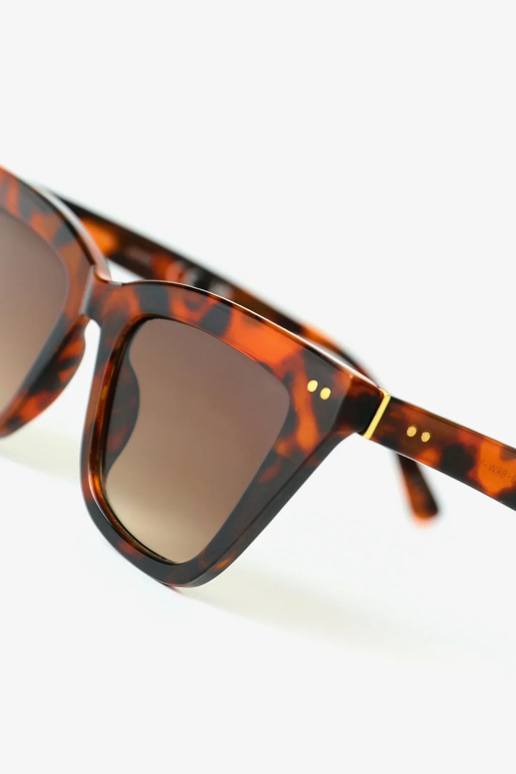 FIRST CLASS SUNNIES | Kittenish
