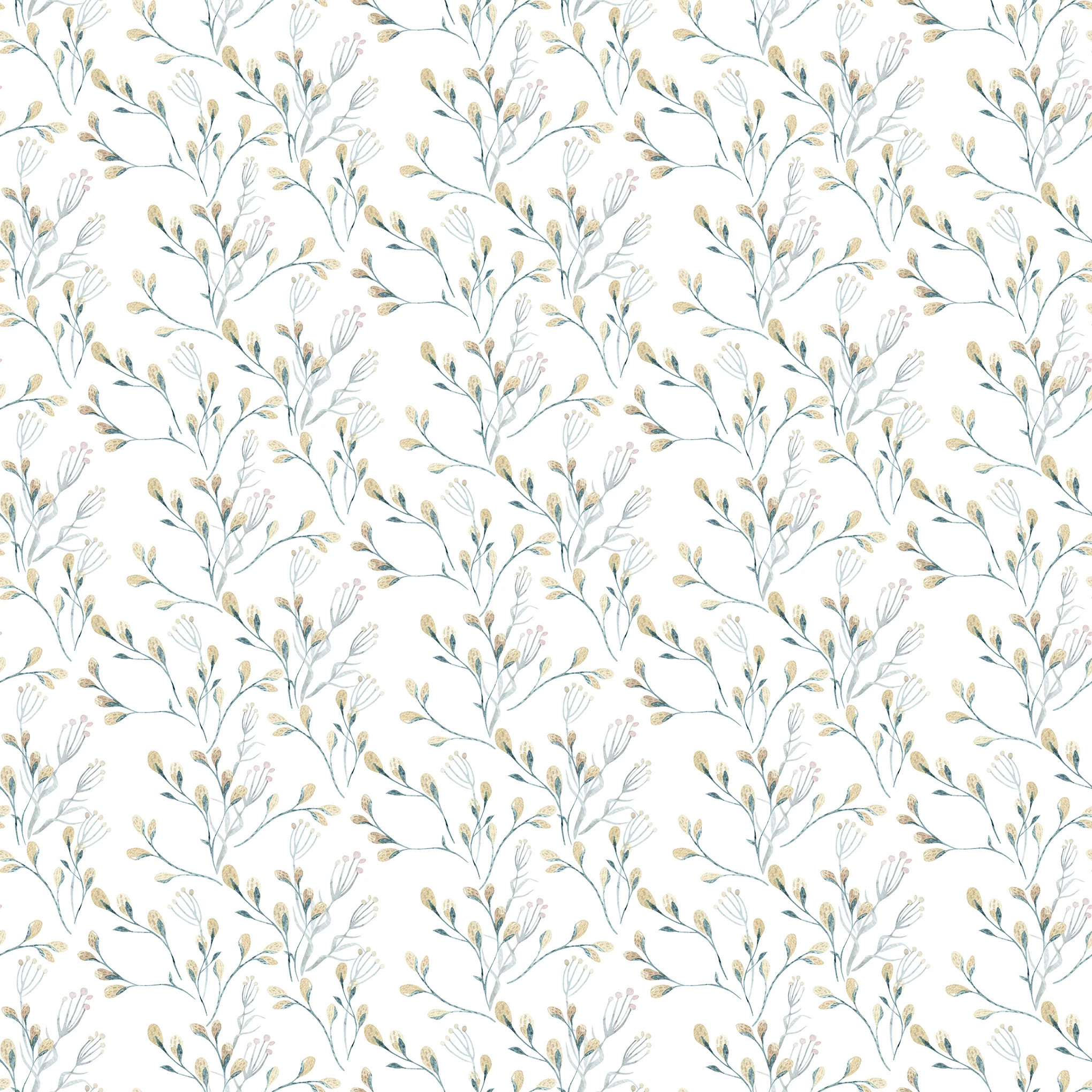 Vines | North and Finch