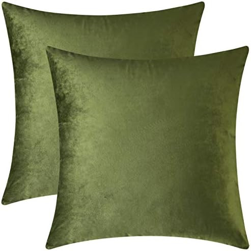 Mixhug Decorative Throw Pillow Covers, Velvet Cushion Covers, Solid Throw Pillow Cases for Couch ... | Amazon (US)
