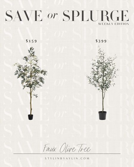 Save or Splurge - Faux Olive Tree #stylinbyaylin 

#LTKstyletip #LTKhome #LTKFind