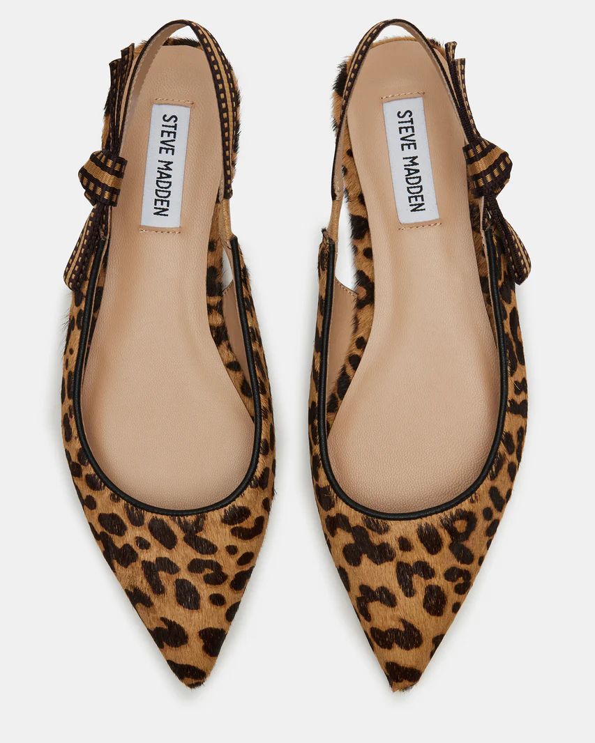 OLSEN Leopard Slingback Pointed Toe Ballet Flat | Women's Flats | Steve Madden (US)