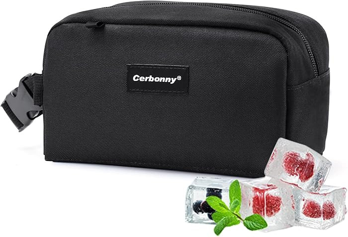 Cerbonny Small Lunch Bag, Freezable Lunch Bag, Small Cooler Bag, Insulated Mini Cooler Box with Ice Packs & Handle Buckle for School Work Travel,Black | Amazon (US)