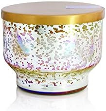 Capri Blue Havana Vanilla Scented Candles for Home - Mercury Iridescent Inverted Jar Candles - Ho... | Amazon (US)