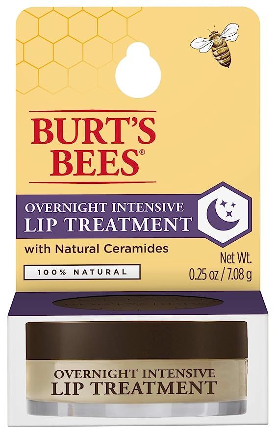 Burt's Bees Stocking Stuffers, Moisturizing Lip Care Christmas Gifts, Overnight Intensive Treatme... | Amazon (US)