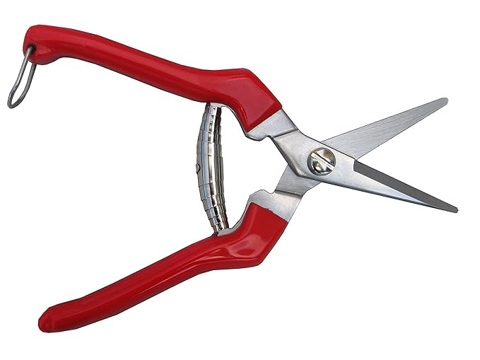 TABOR TOOLS Pruning Shears, Florist Scissors, Multi-Tasking Garden Snips for Arranging Flowers, T... | Amazon (US)