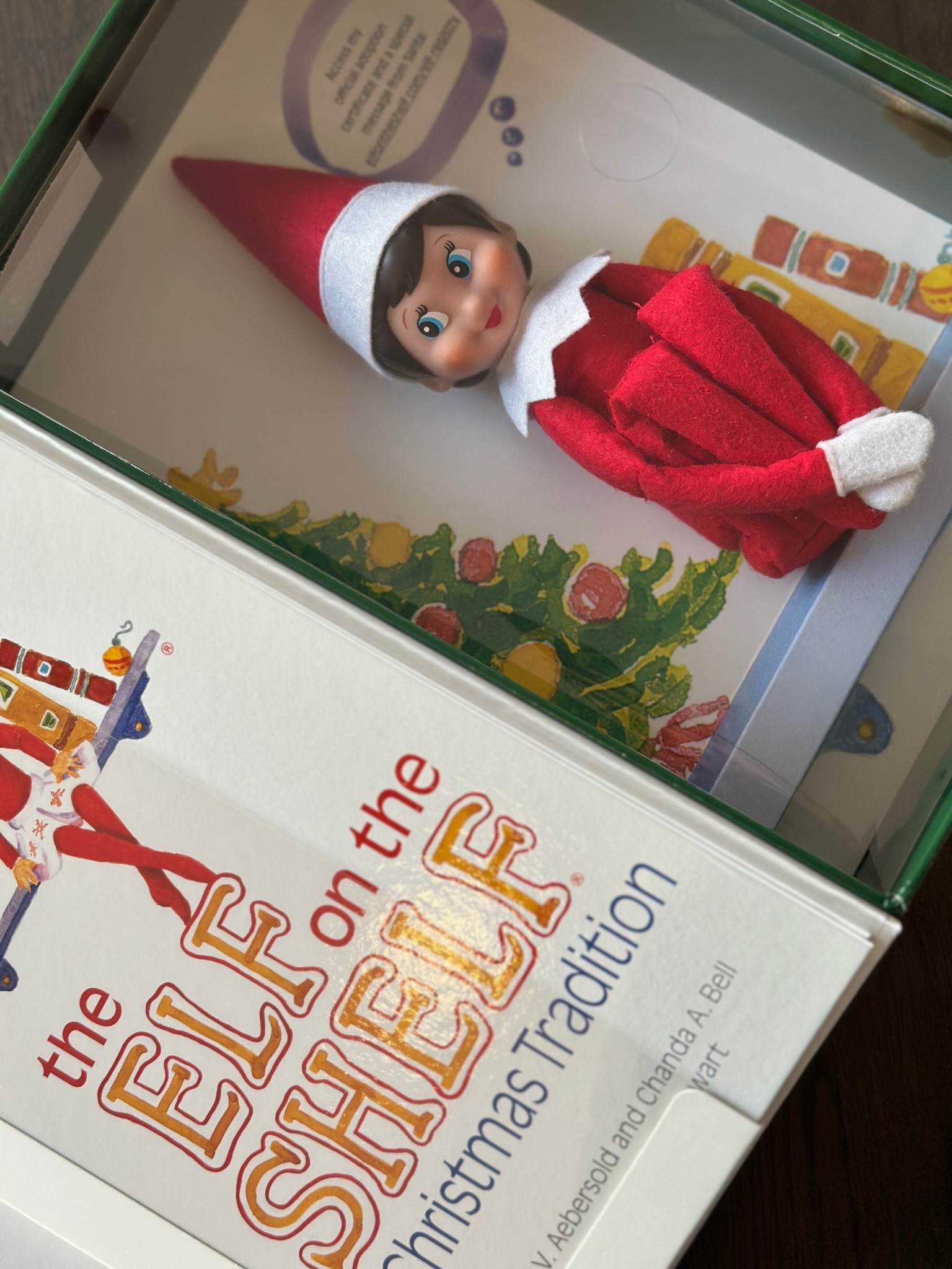 & this year the tradition begins! What should we name our Elf on the Shelf? 

#LTKGiftGuide #LTKKids #LTKHoliday