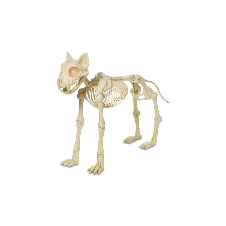 Animated Skeleton Cat with Light Up Eyes, 4ft Height, Halloween by Way To Celebrate - Walmart.com | Walmart (US)