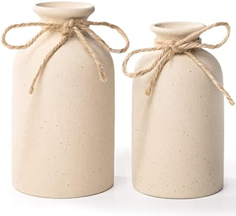2Pcs Ceramic Decorative Vase, Farmhouse Decor Small Flower Vases Coarse Ceramics Room Home Modern... | Amazon (CA)