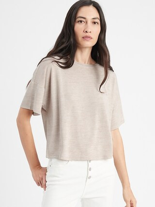 LuxeSpun Boxy T-Shirt | Banana Republic Factory
