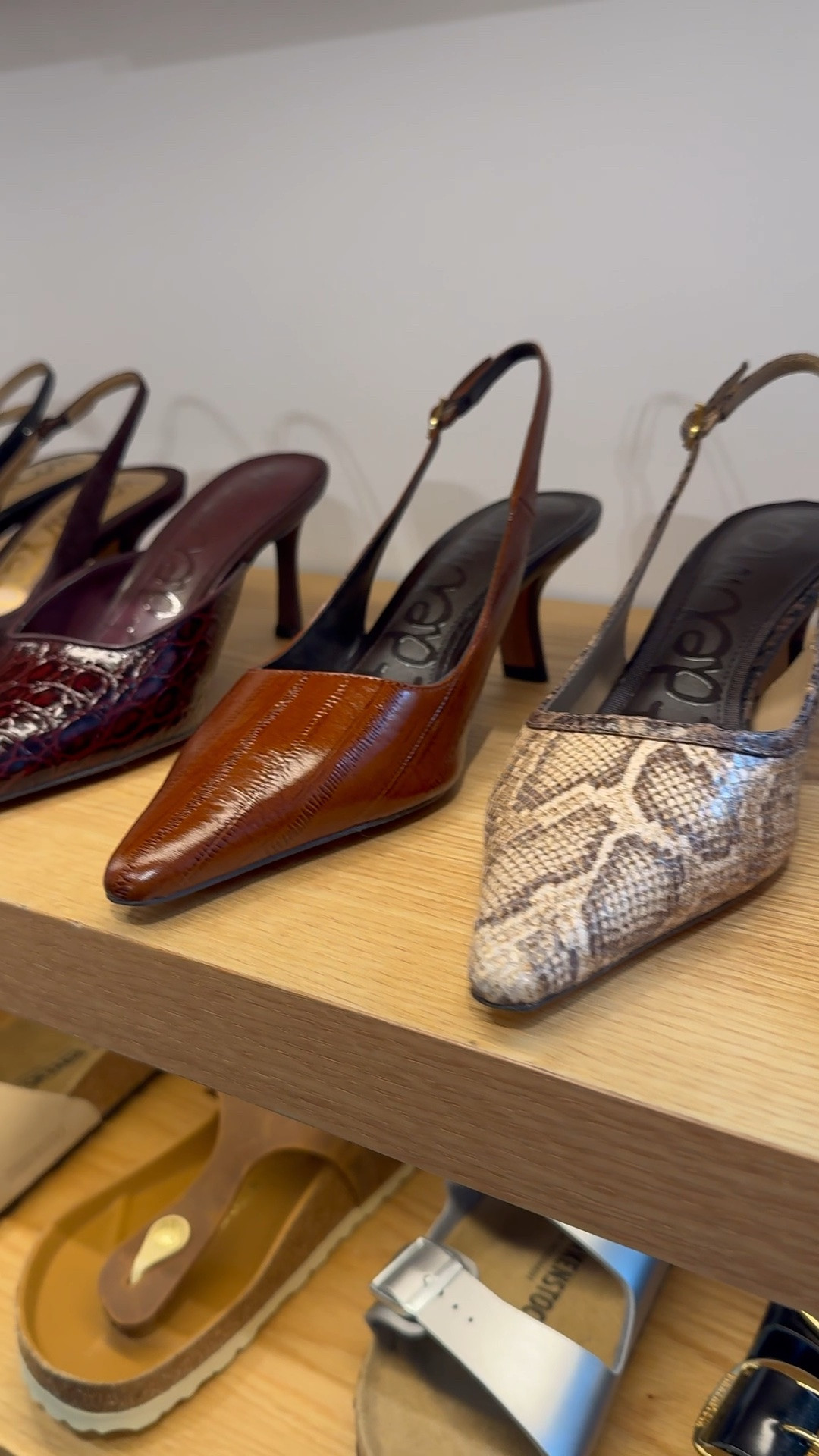 Get all the perfect fall heels!  Fall accessories

#LTKootd #LTKWorkwear #LTKSeasonal
