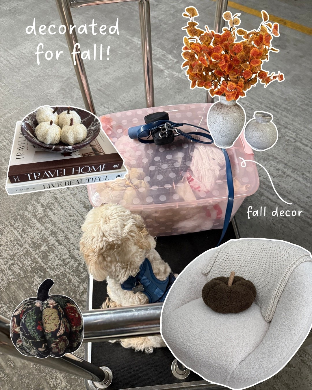 #LTKSaleAlert #LTKHome #LTKSeasonal