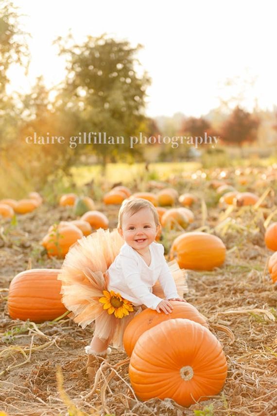 pumpkin baby photoshoot