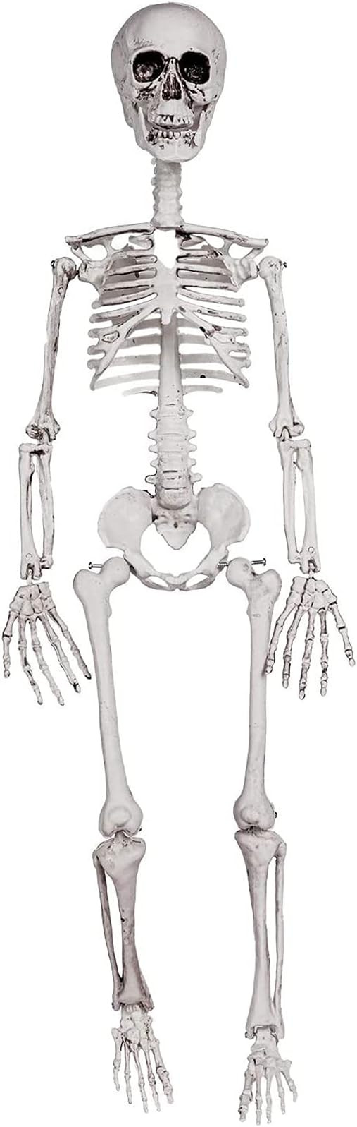Decorlife 36" Skeleton Halloween Decoration, Posable Halloween Skeleton Decor for Front Lawn or H... | Amazon (US)