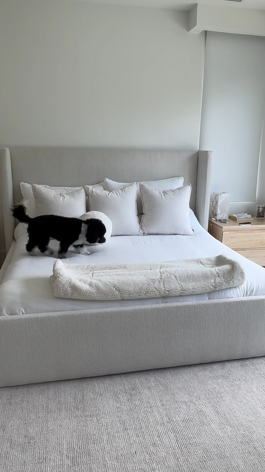 bedding refresh. 🤍

Fresh sheets, clear mind. Neutral bedding is the reset button we all need. 🤍 #beddingrefresh #neutralhome

#LTKHome