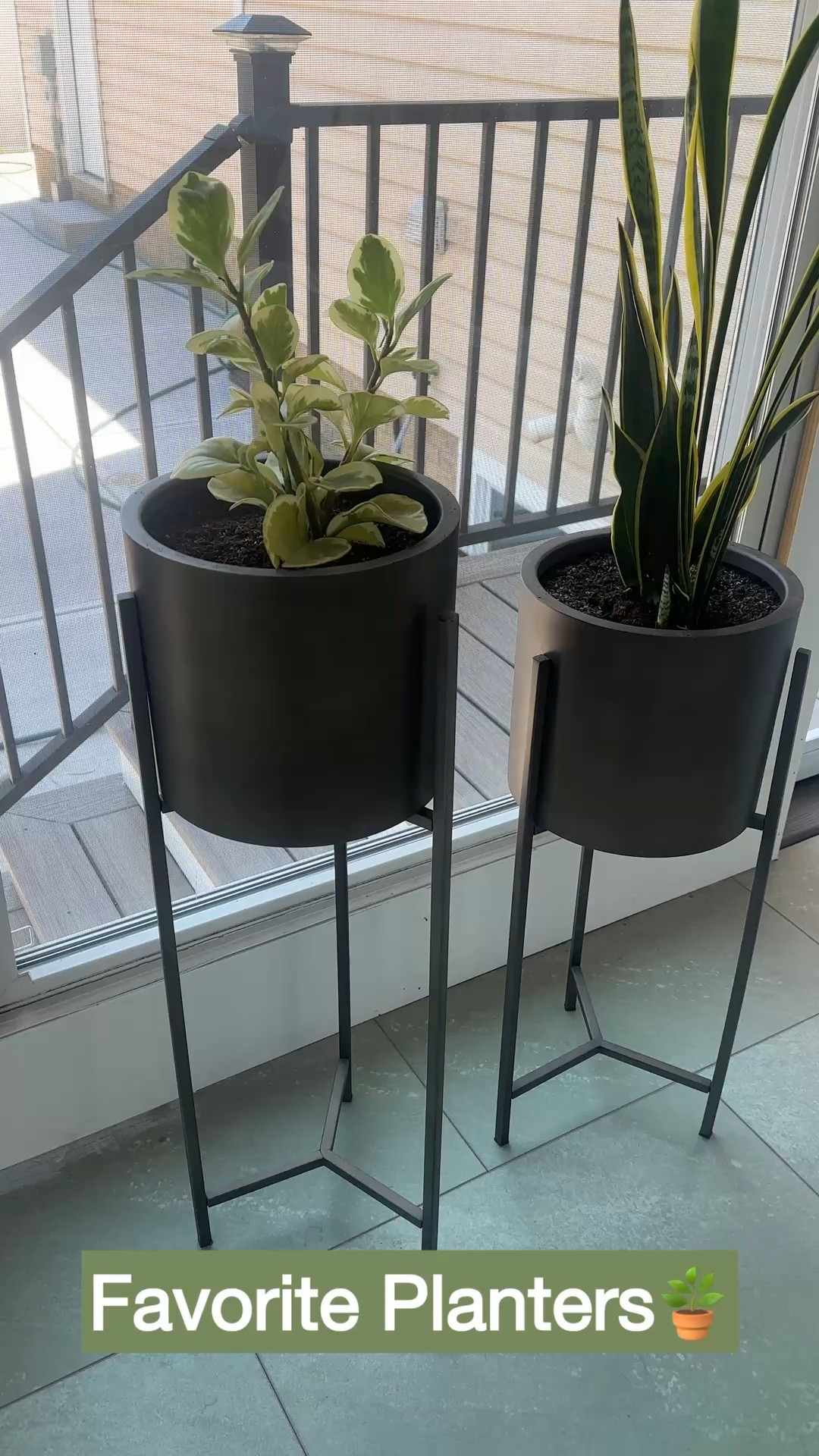 🌿 Timeless favorite 🌿 I’ve had these Dundee Indoor/Outdoor Planters with Stands for years and still love them! They’re such a versatile piece for styling greenery. ✨ They now have a new version in white—linked below! 🤍 #LTKhome #PlanterGoals #OutdoorStyle #IndoorPlants #HomeFavorites

#LTKHome #LTKStyleTip #LTKFindsUnder100