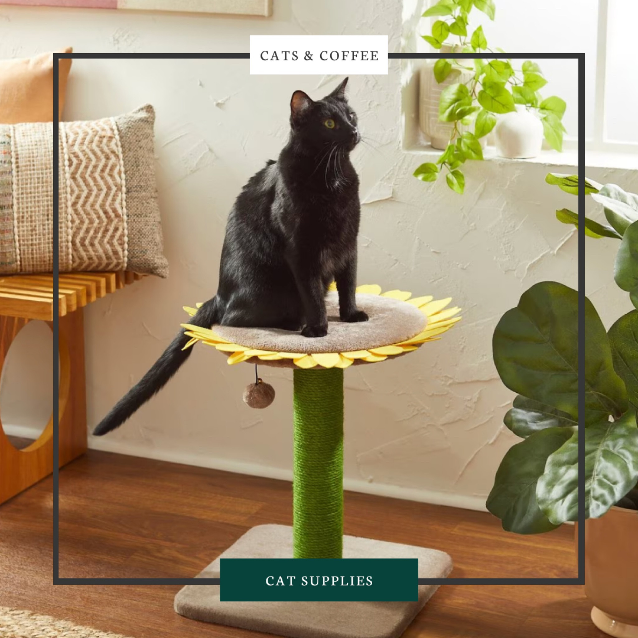 Adorable Cat Trees from Chewy | Cat trees and scratchers offer cats a chance to stretch and exercise, which is essential for their physical and mental well-being. | Shop the cutest and most whimsical cat trees, featuring unicorns, sunflowers, and more, from Chewy here! 


#LTKFind #LTKfamily #LTKhome