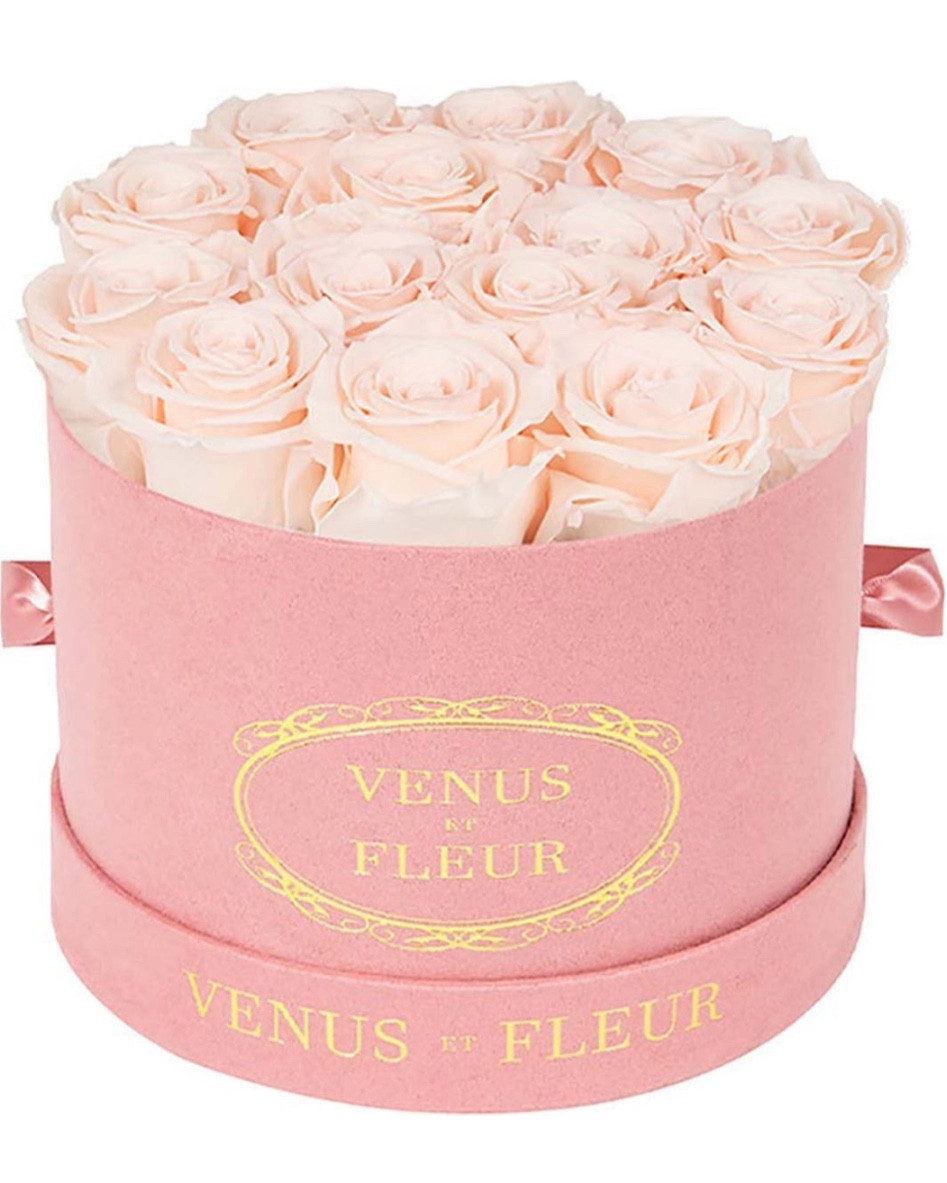 VENUS ET FLEUR
Forever roses
🤍
Valentine’s Day Gift, Valentine’s Gift Guide

#LTKMostLoved #LTKGiftGuide #LTKSeasonal
