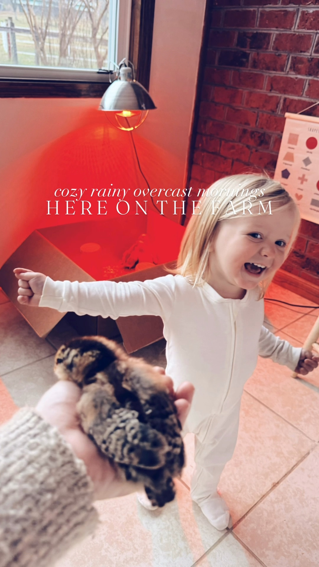 My morning coffee ☕️ with sweet chirping 🎶 baby chickies 🐤 and my babies 👶🏼 majorly (!!) sleeping 💤  in on this overcast morning!! ☁️ And the most gorgeous kitchen window 🪟 view, too!! 🐴🫏 What a dreamy cozy lil’ Friday morning indeed!!! 🤭🐥🥰 #overcastmorningonthefarm #cozymornings #farmlife #coffeeandchicks #babiesandchicks 

And convinced there’s just nothing sweeter than your babies 👶🏼 waking up on a rainy ☔️ overcast ☁️ morning to brand new baby chickies!!! 🐥🥰🐣It just simply doesn’t get cuter than this 🤭 - my baby chickadees 🐥 with THEIR baby chickadees!!! 🥰🐣 And alllll the brother lovin’ sweetness around here (the @pampersus diaper box 📦 for the win… as always 🤭)!! 👶🏼🩵👶🏼

Happy FriYAY, y’all!! 🐥☕️🏡🪟🐴🌳🫏🫶🏽