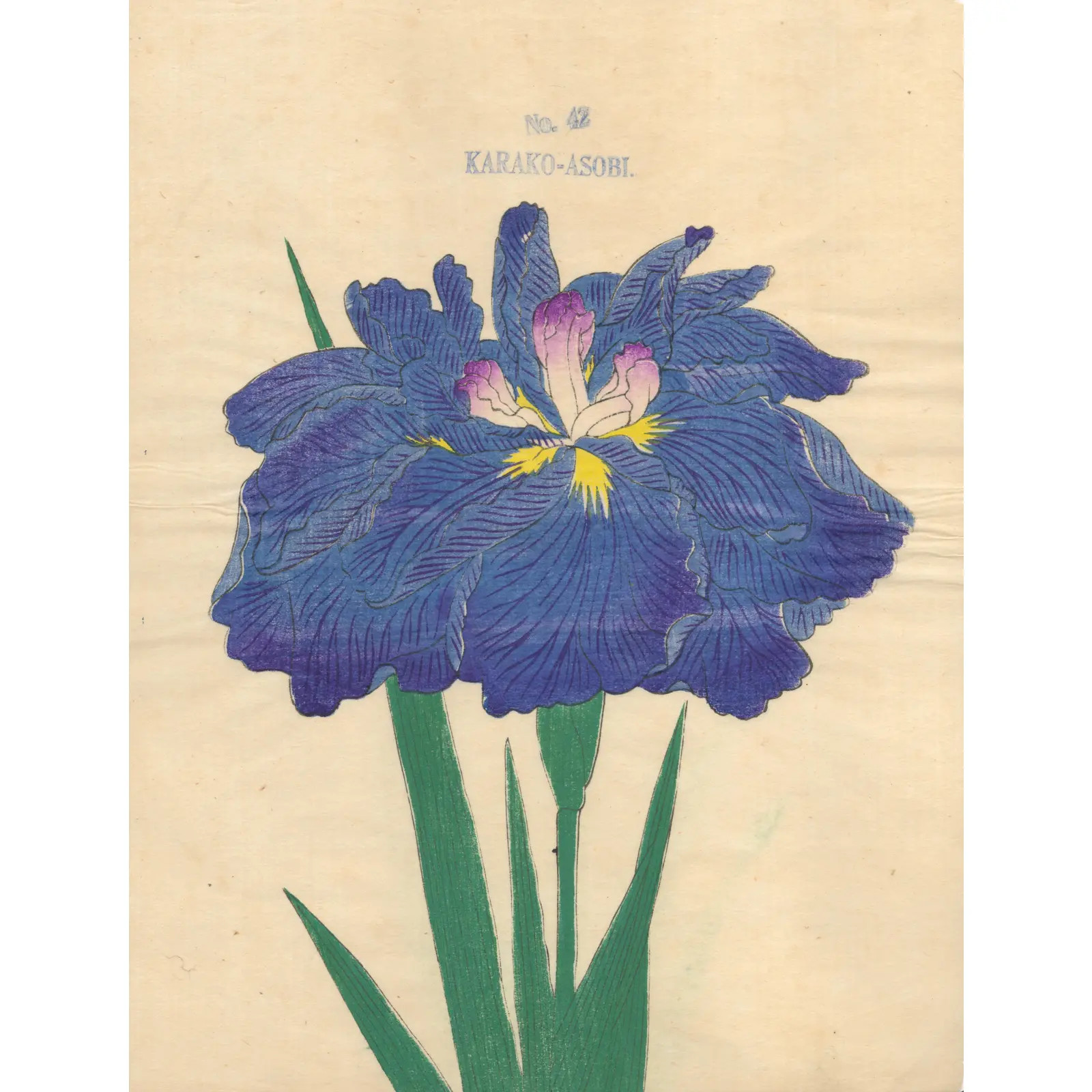 Japanese Woodblock Print of an Iris - Karako-Asobi | Chairish